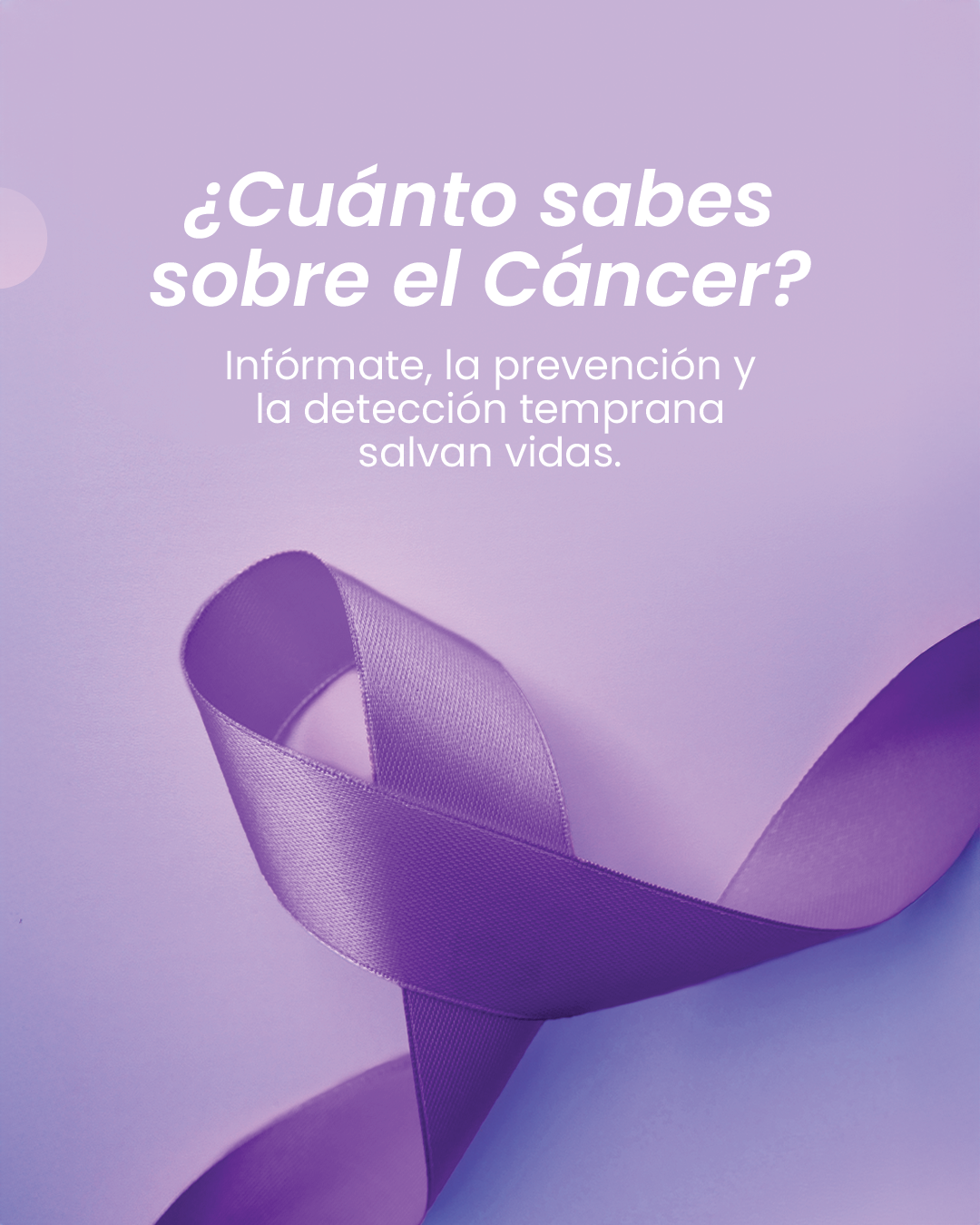 Sime Informa-03